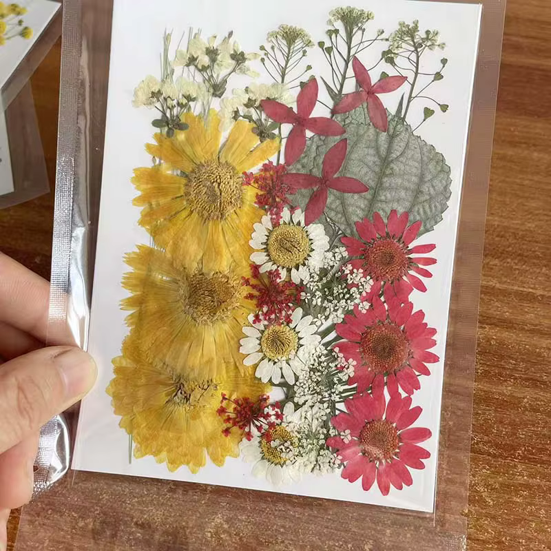 Kit de matériaux combinés de feuilles de fleurs séchées