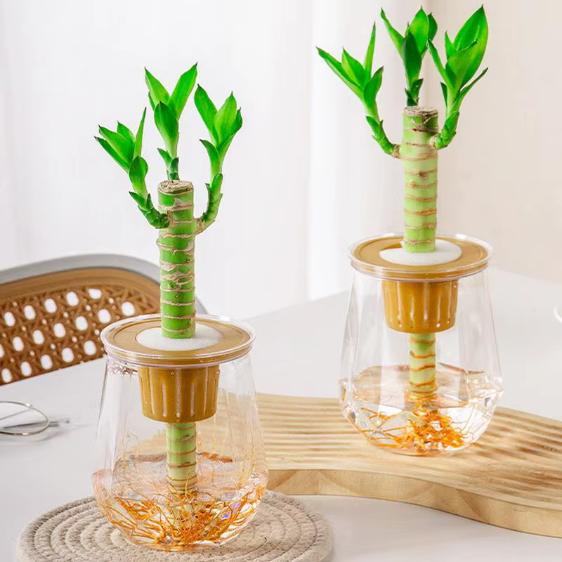Mini Pot de fleur à arrosage automatique
