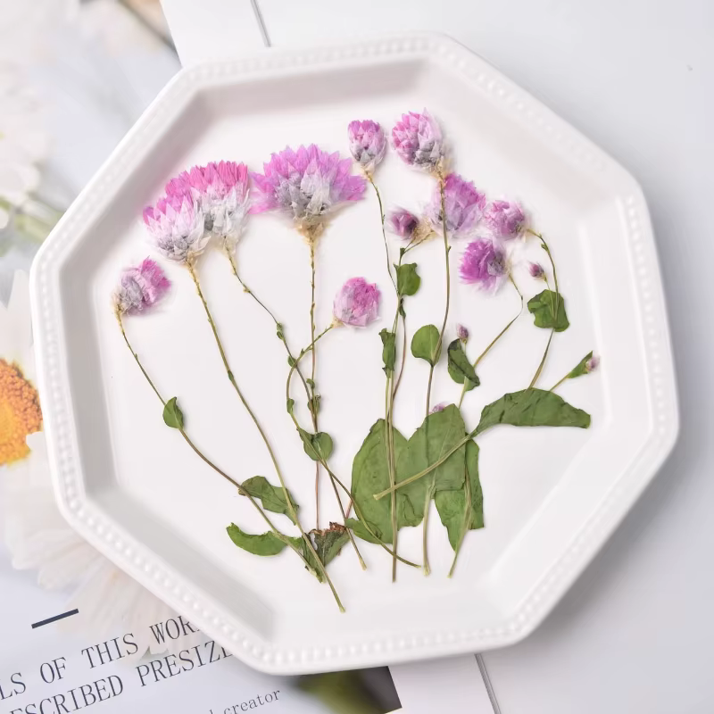 24 pièces, fleur séchée naturelle en relief
