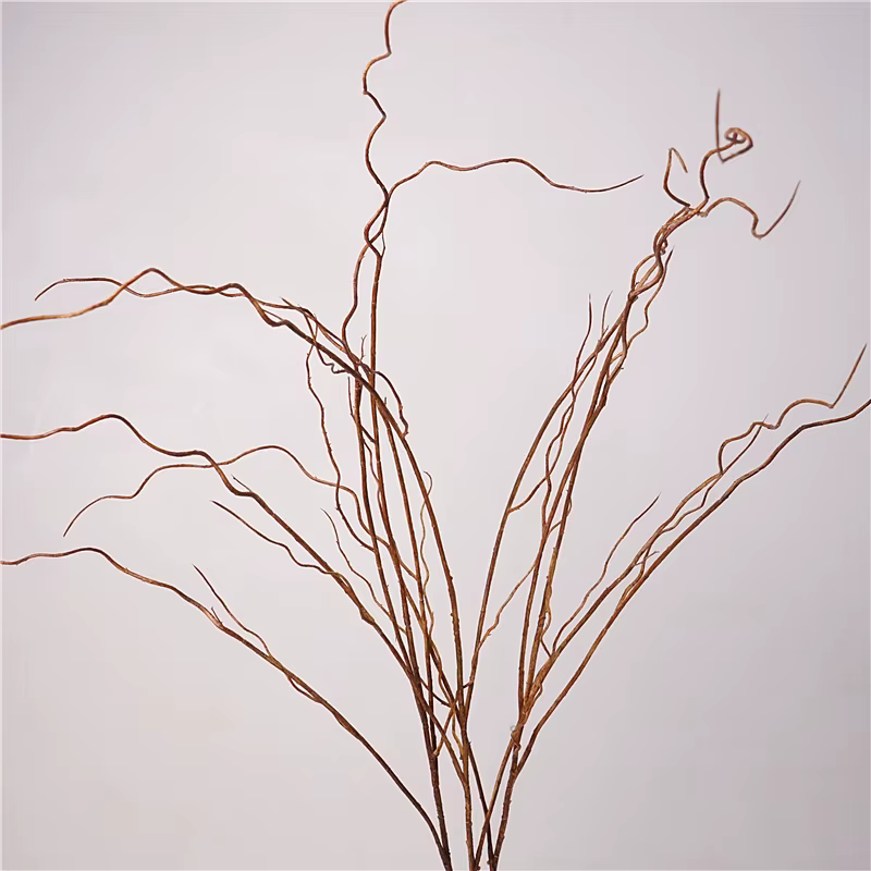 Simulation de Branches vaccées