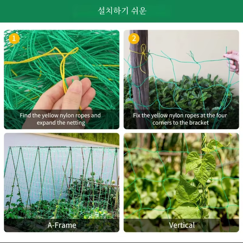 Pergolas de treillis pour plantes