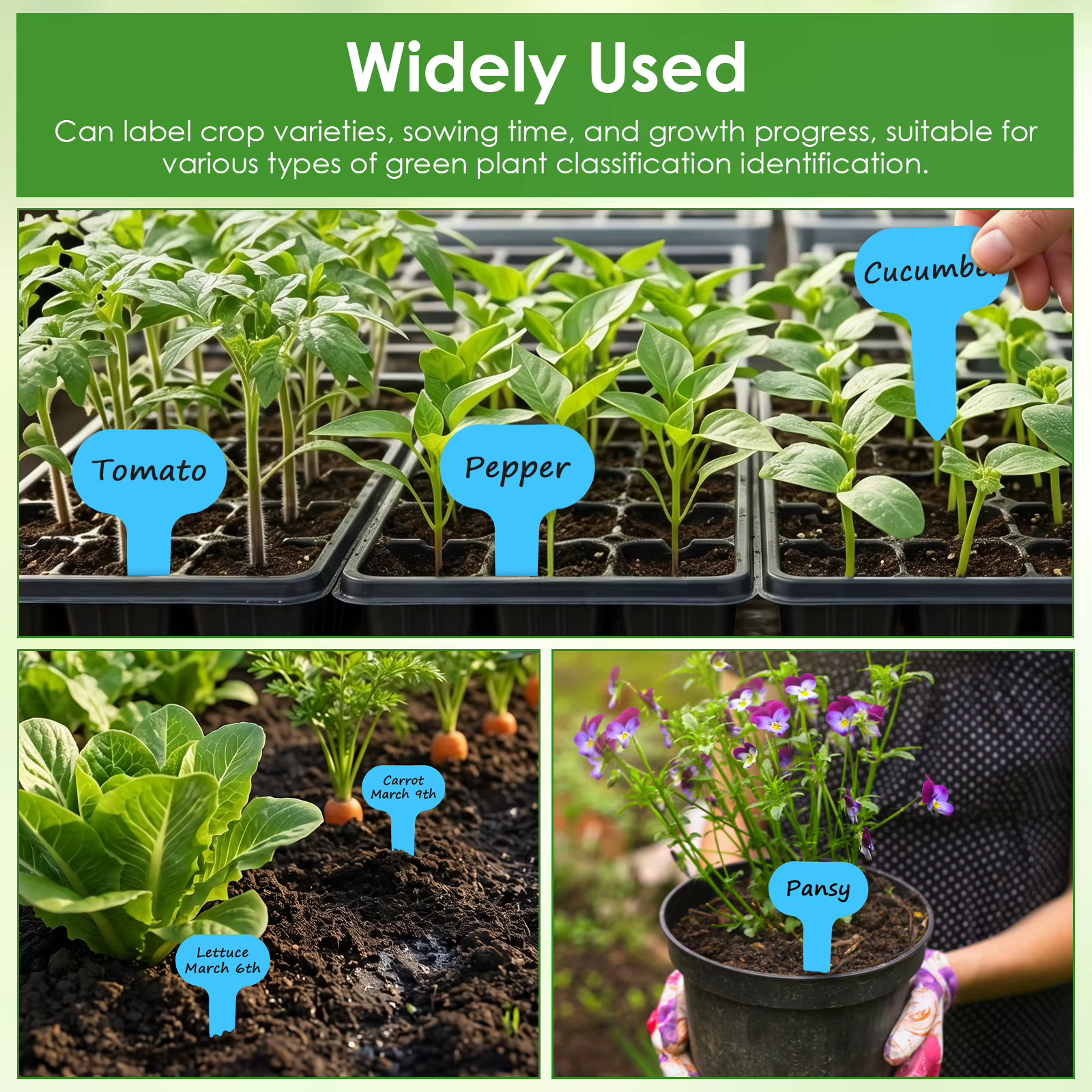 Étiquettes de plantes de jardin en plastique
