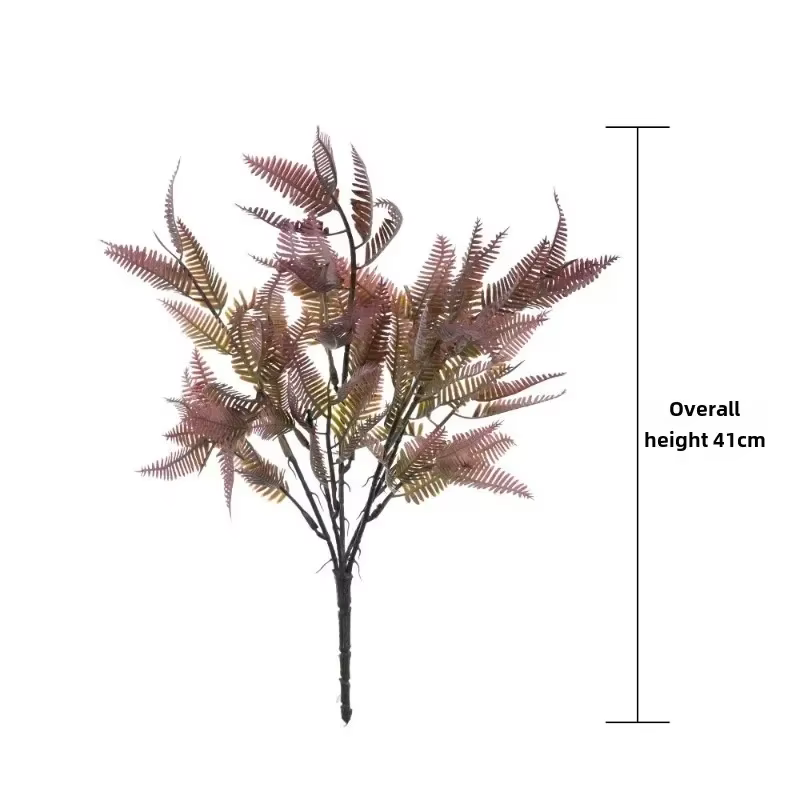 Branche de Cuir oral elu de Fougère