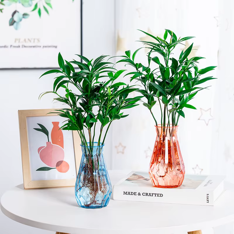 Vase hydroponique en plastique transparent pour plantes vertes