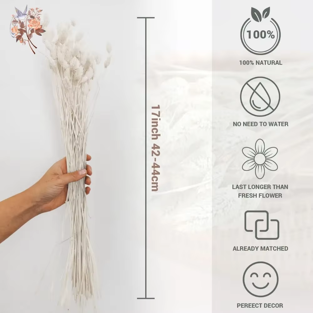 Bouquet de pierres précieuses de phaladditif séchées éternelles