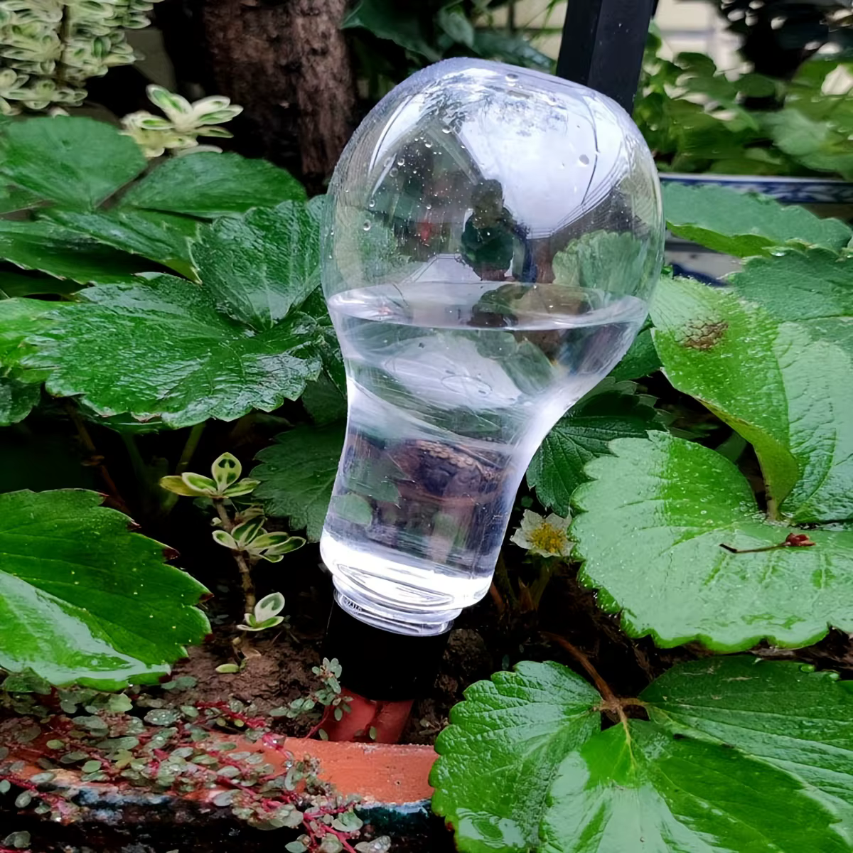 Outil d'arrosage automatique de jardin