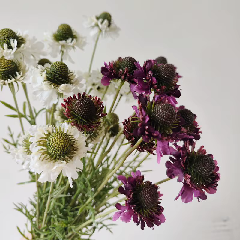 Fleurs artificielles de Scabiosa ambre