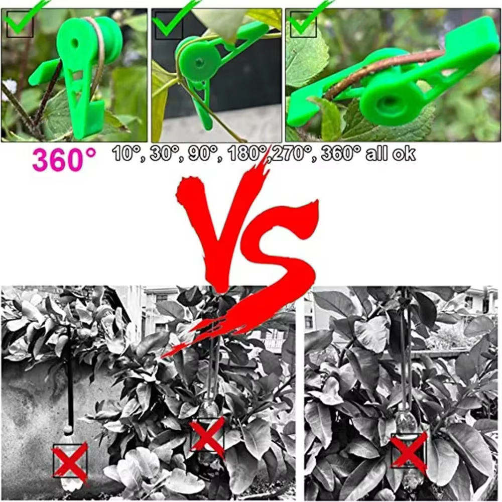 Clips d'entraînement pour cintreuse de Branches de plantes