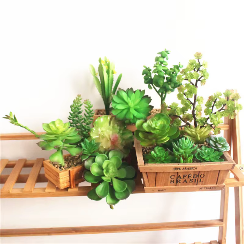 Petites plantes succulentes artificielles en PVC