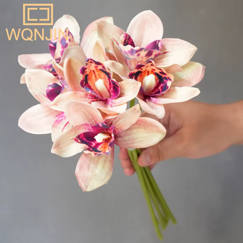 Orchidée papillon d'automne