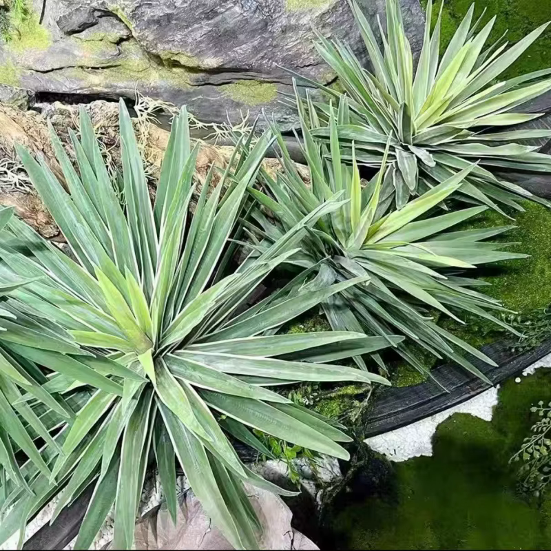 Plante artificielle en pot d'aloès et d'agave