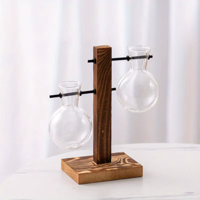 Vase en verre hydroponique