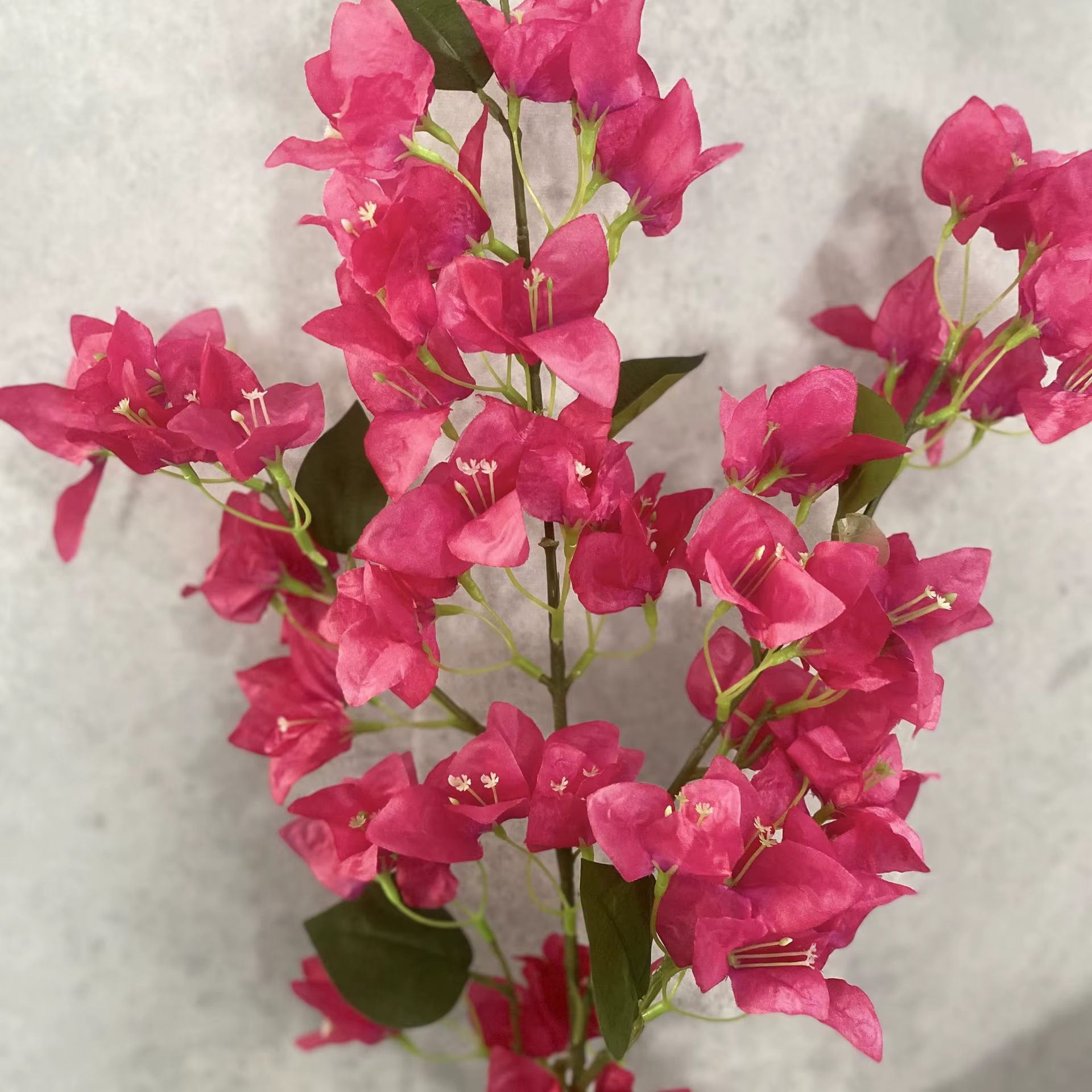Bouquet de glabres de bougainvillea artificielles