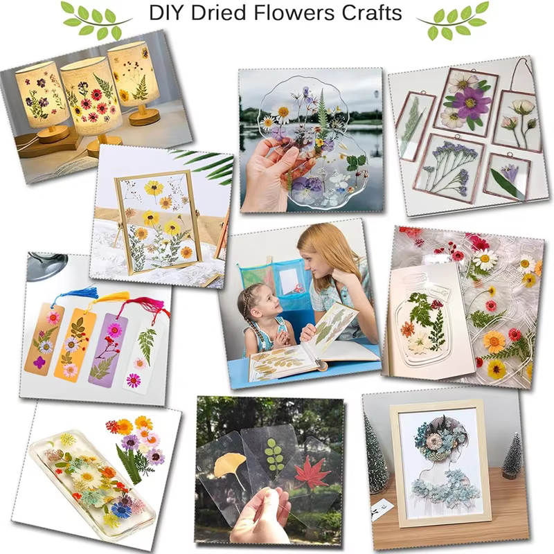 Kit de pressage de fleurs ABKJ-DIY 30x21cm pour adultes pour fabriquer