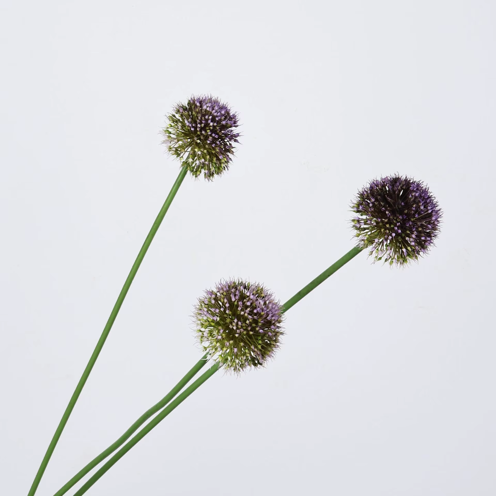 Plante boule d'alium artificielle de 33.5 pouces