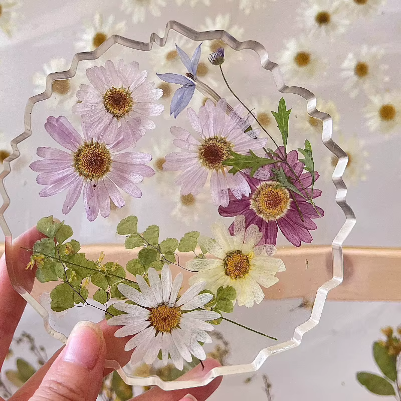 8 pièces, fleurs pressées séchées de marguerite | Marque-page de décoration de visage