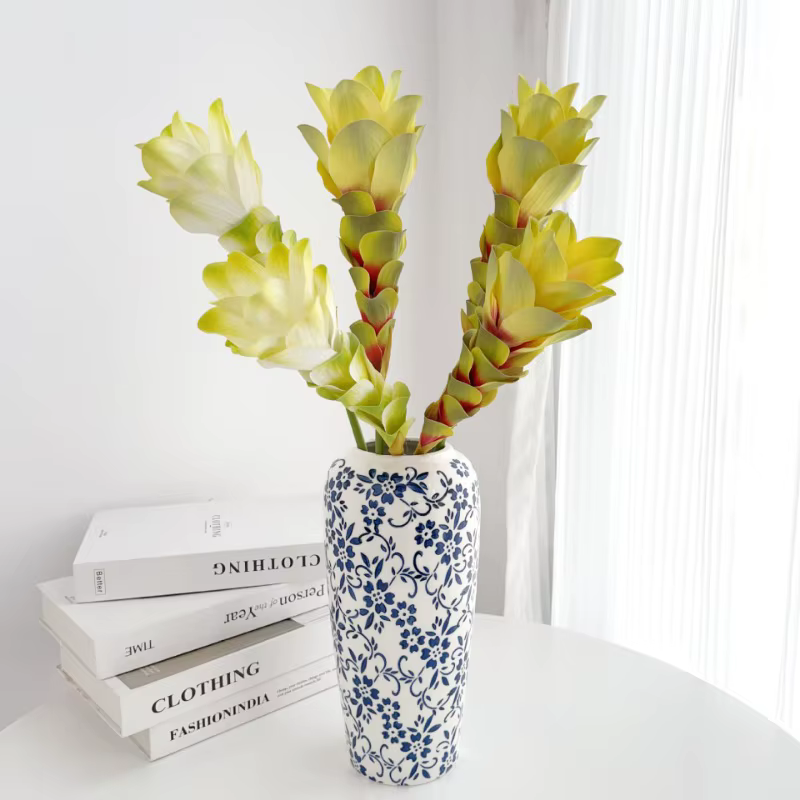 Simulation de fleur de gingembre dégradée