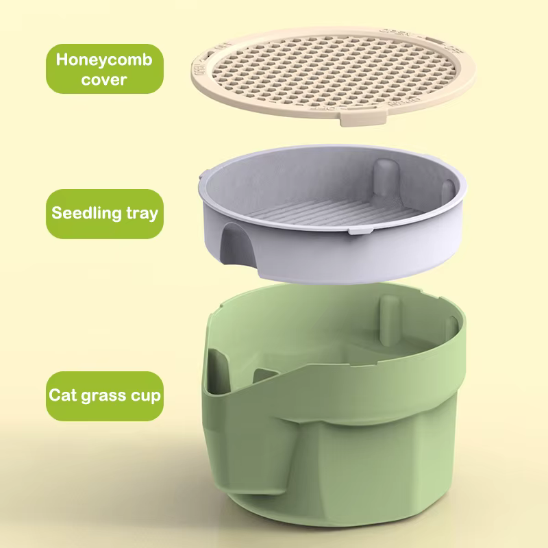Tasse d'herbe pour chat