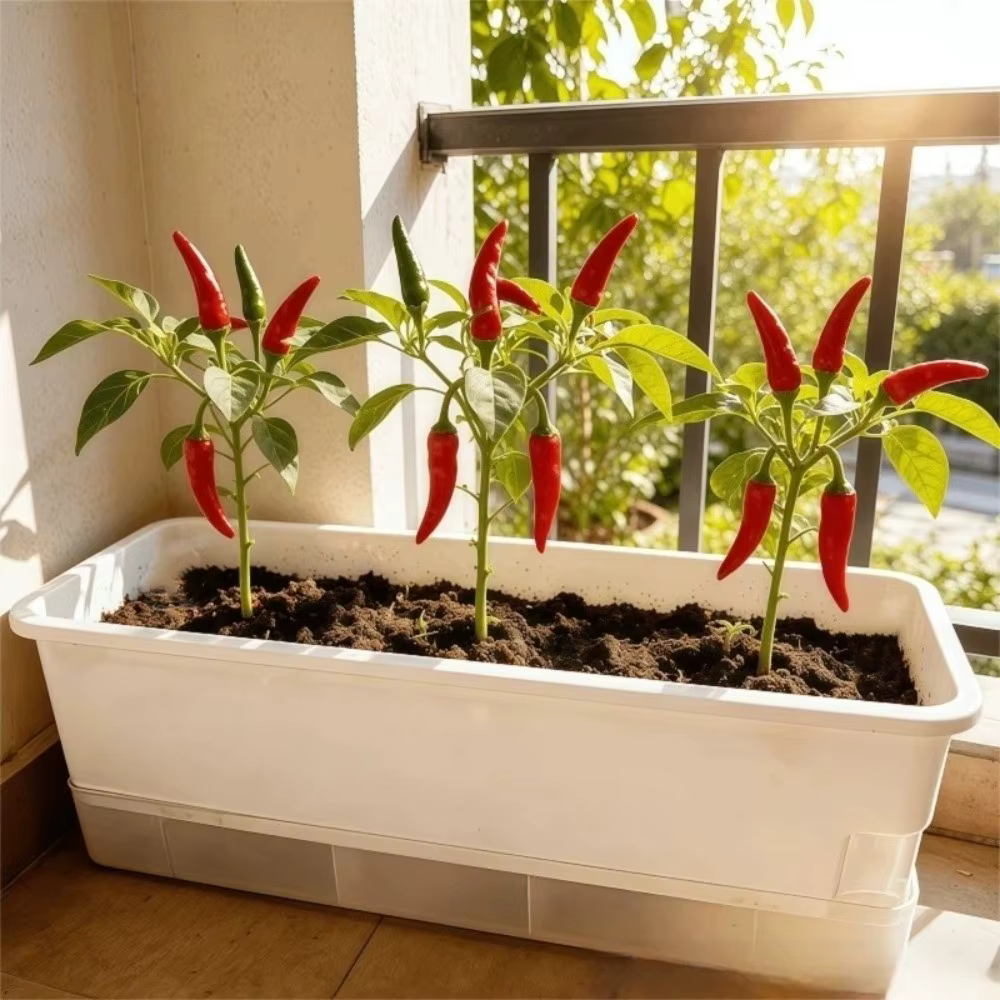 Pots de culture hydroponique en plastique épaissi