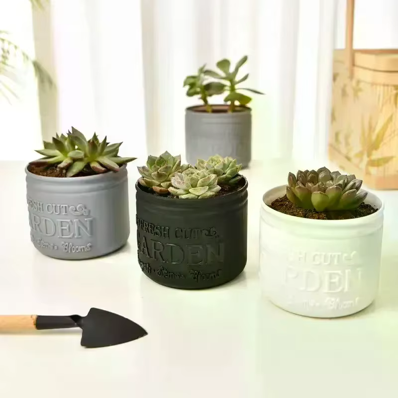 Pot de fleurs rond pour plantes succulentes