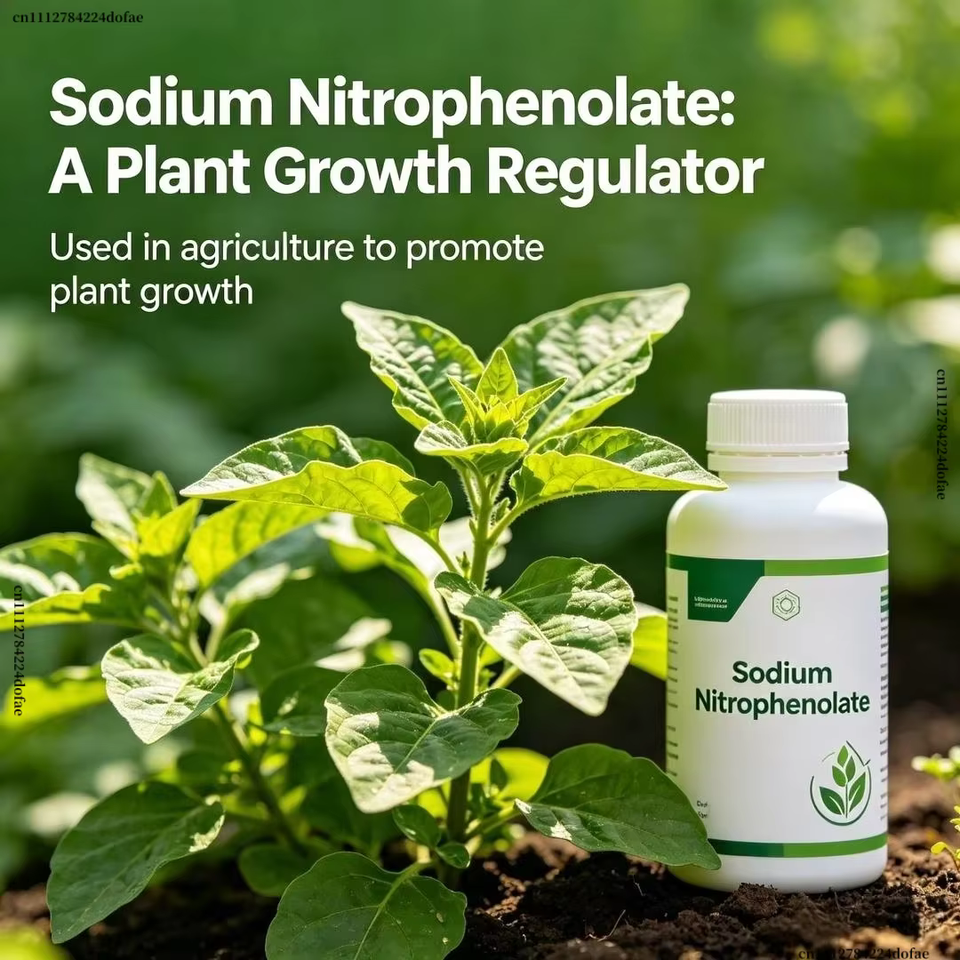 Régulateur de croissance des plantes à base de nitrophénolate de sodium à 98 %