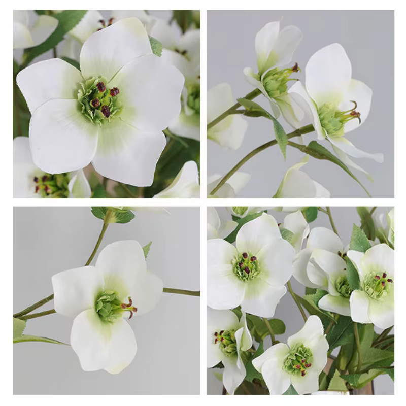 Branche de fleur de cloche de Noël