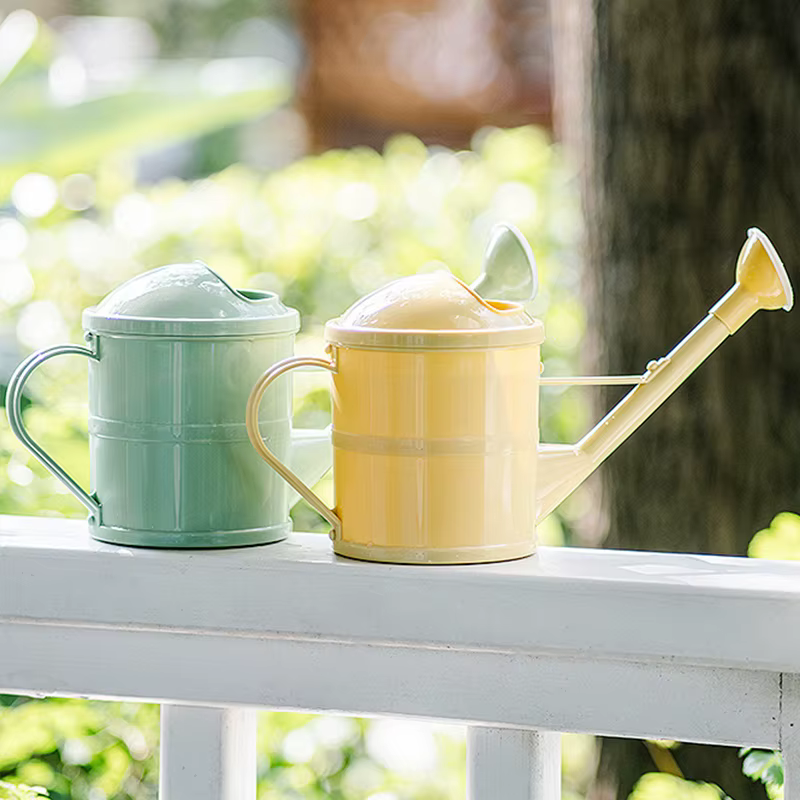 Arrosoir pour plantes, arrosoir décoratif pour fleurs