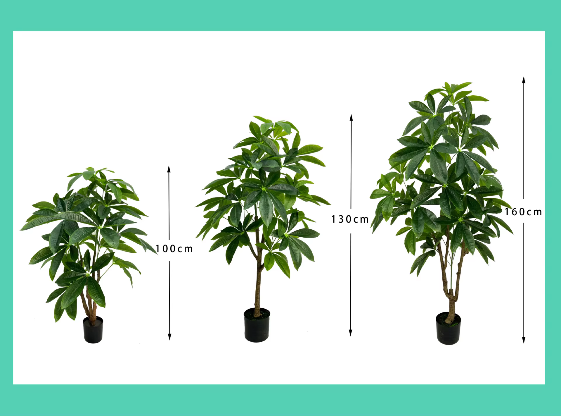 Grande plante verte sur pied en pot