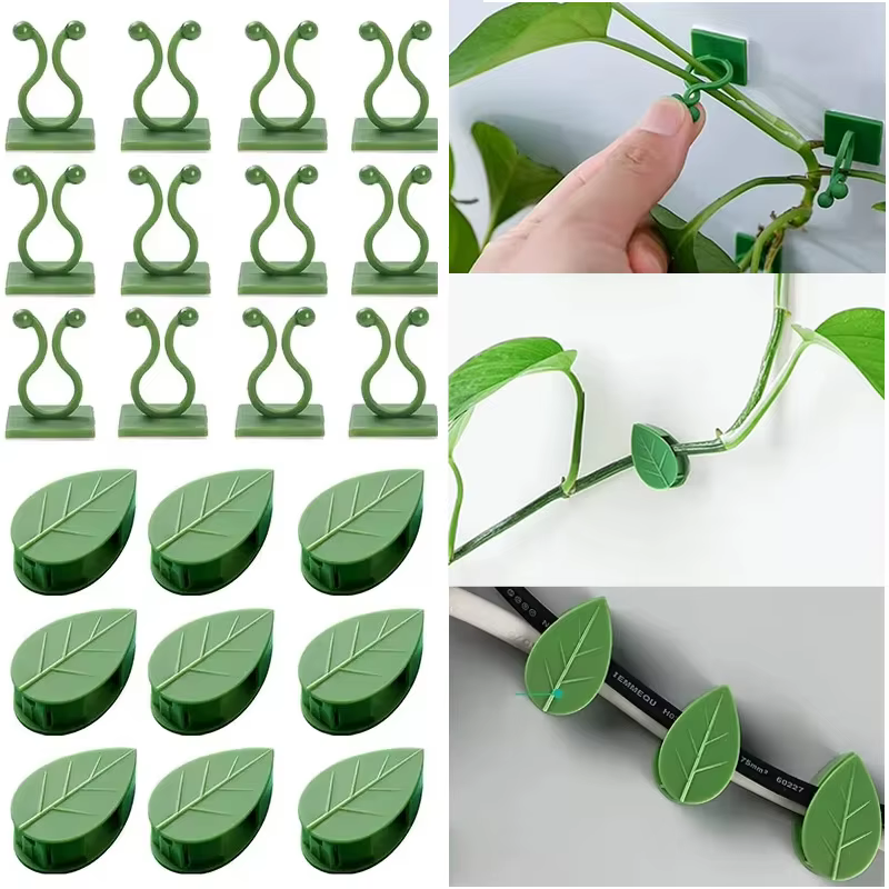 Support de Traction pour plantes de vigne