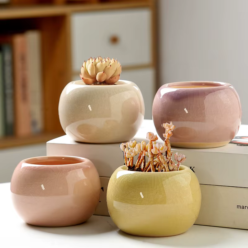 Pot de fleurs succulentes avec fissures glacées