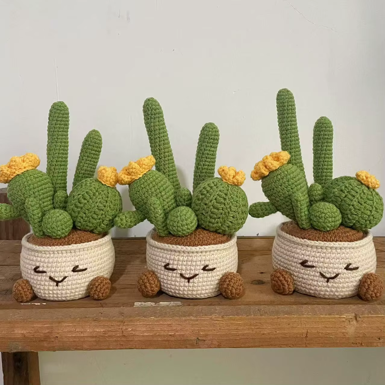 Plantes tricotées créatives en pot au Crochet