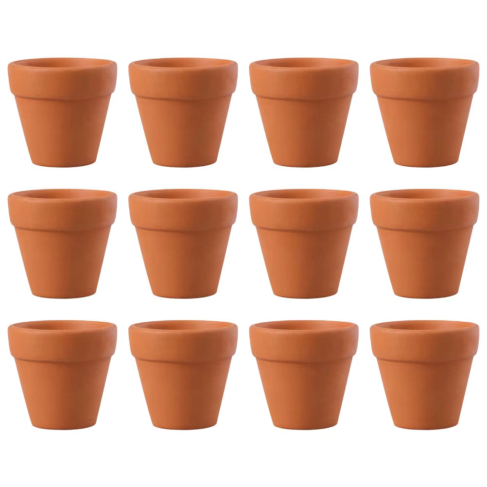 12 pots de plantes en terre cuite