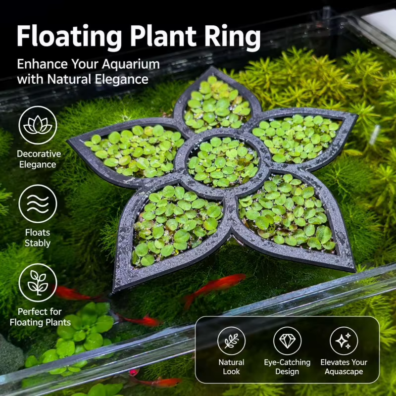 Anneau flottant en forme de fleur pour la croissance des plantes aquatiques en aquarium
