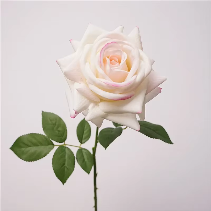 5 pièces sensation hydratante vraie touche Rose fleur fleurs artificielles décor de Mariage