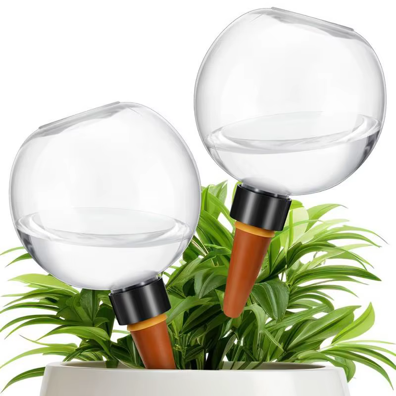 Globes d'arrosage automatique 500ml