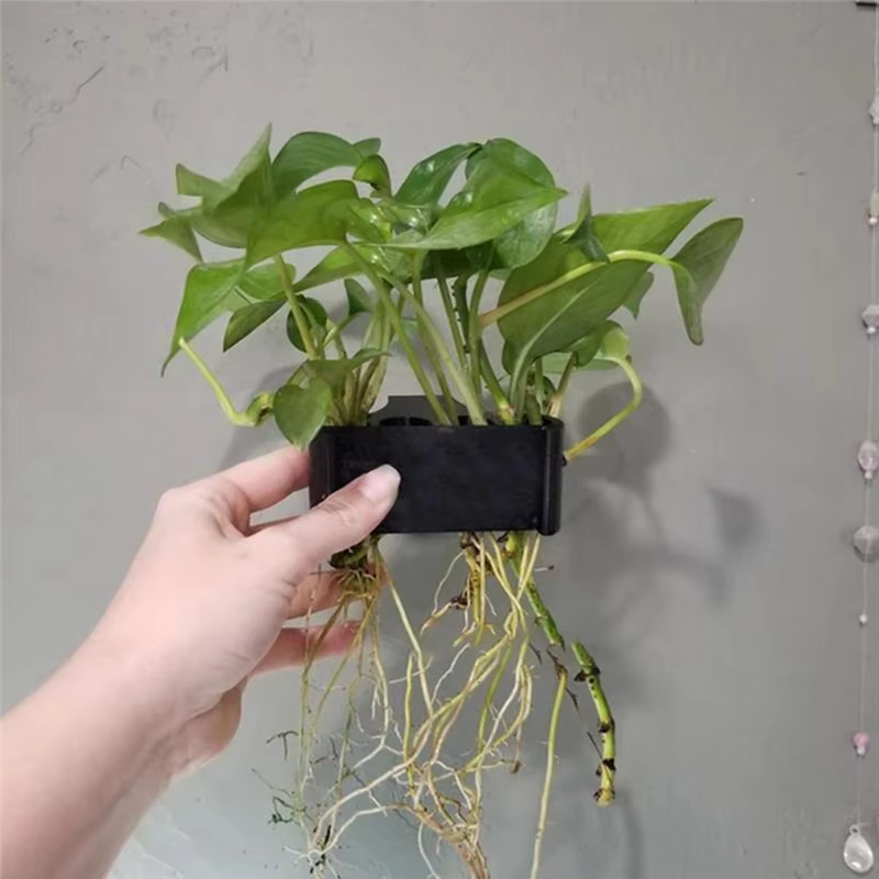 Support de plante d'aquarium suspendu Pot