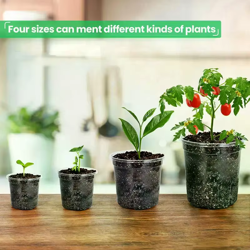 Pot de fleurs en plastique transparent avec trou de drainage