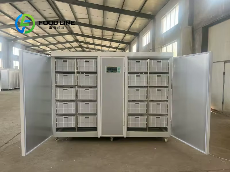 Machine de germination de haricots entièrement automatique