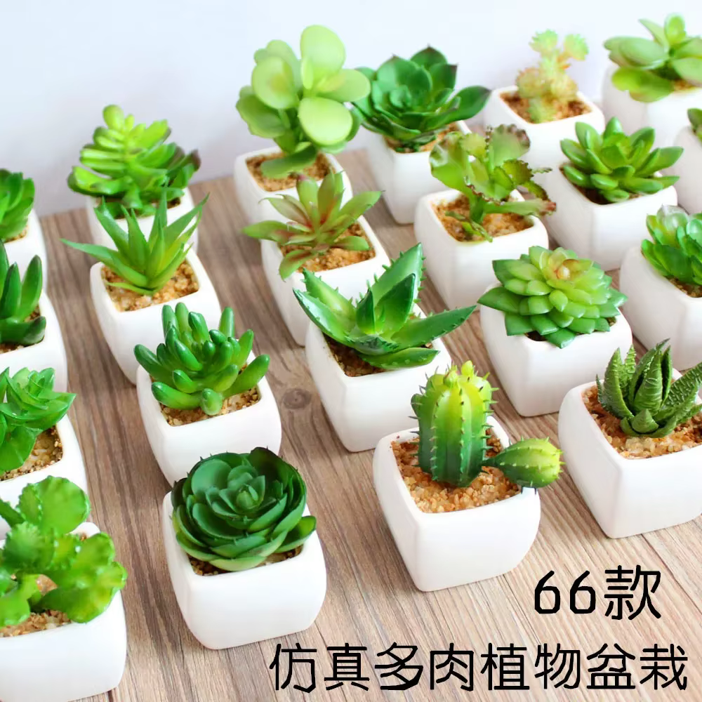 Plantes vertes succulentes artificielles