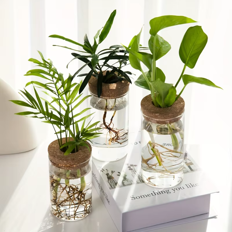 1pc, Vase de jardinière en verre de bureau pour plantes hydroponiques pour la décoration de la maison