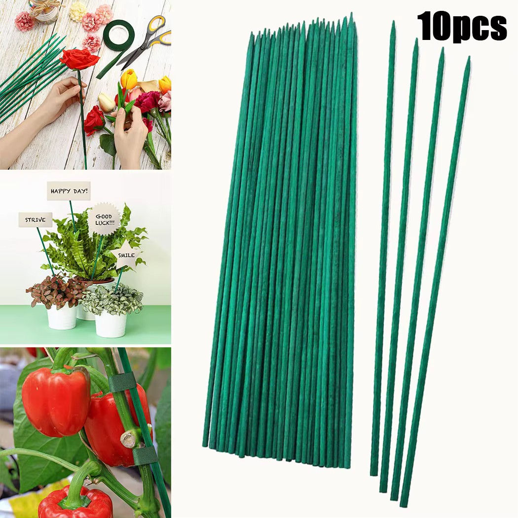 Bâtons de support pour plantes vertes