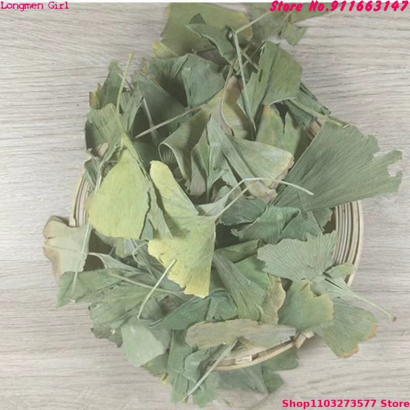 Feuilles séchées de Ginkgo Biloba de haute qualité