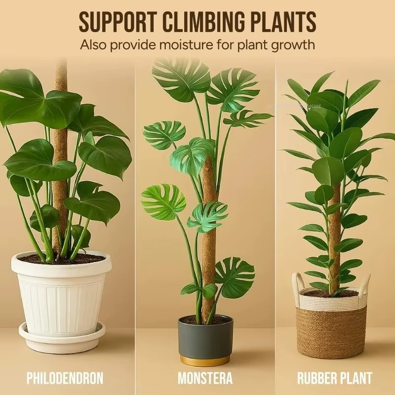 Poteau en mousse flexible pour plantes, en fibre de coco, support pour Monstera, fait main, accessoires de jardinage DIY pour plantes grimpantes