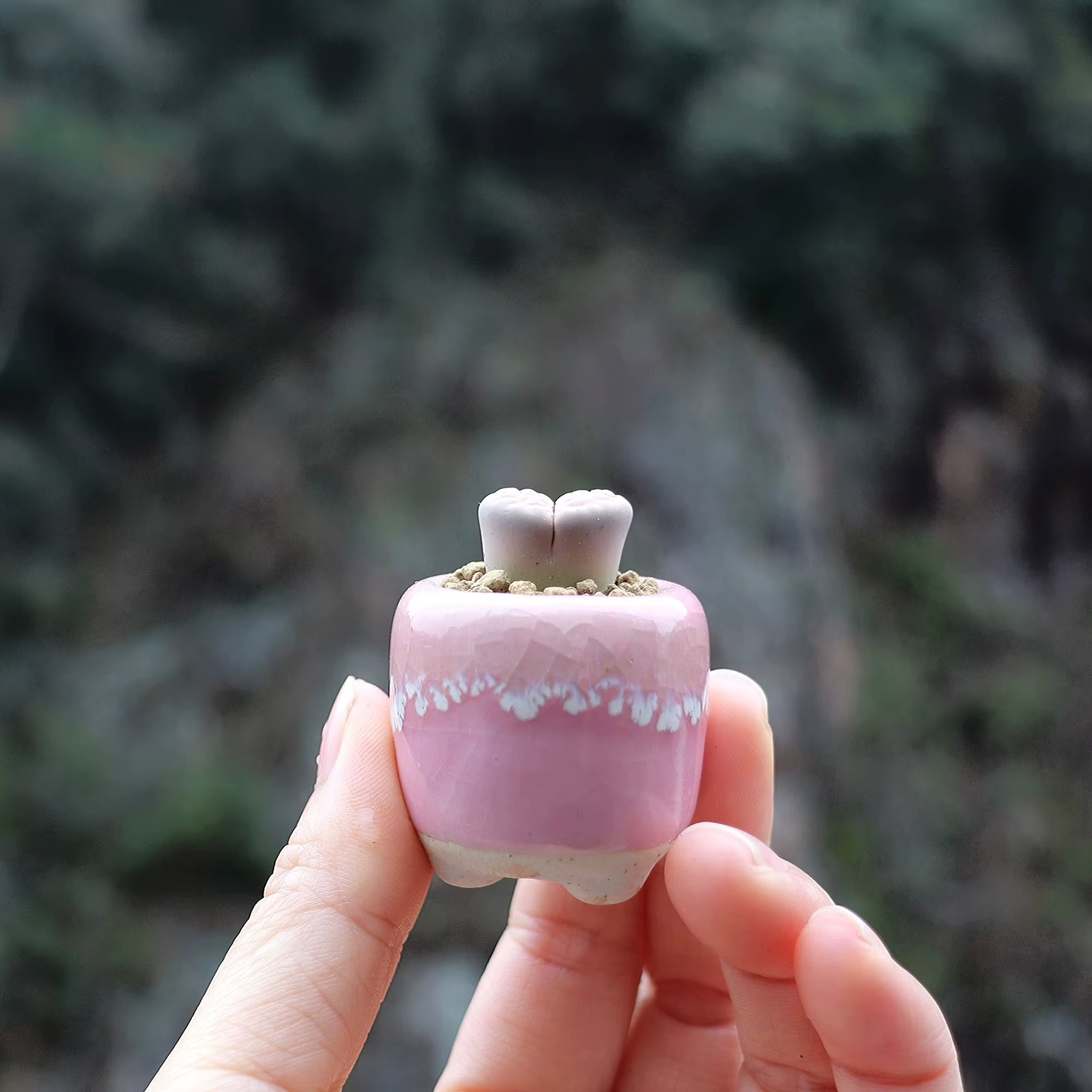 Mini pot de fleurs en céramique