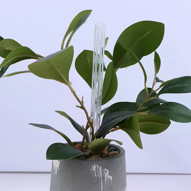 Tubes de Circulation d'air du sol pour plantes