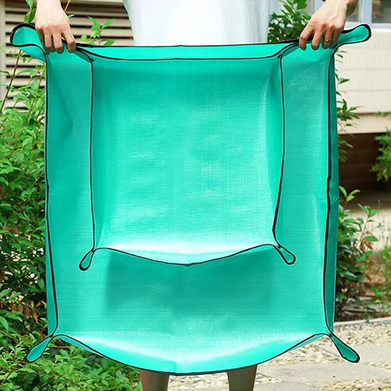 Tapis de régénération des plantes