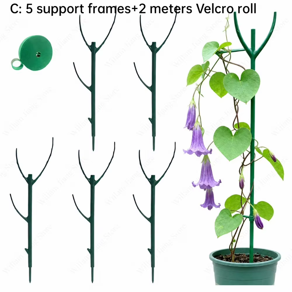 Kit de support pour plantes grimpantes de jardin