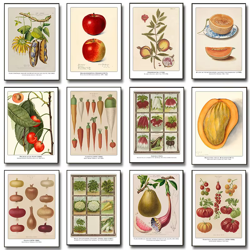 Affiche d'illustration d'étude botanique de Fruits et légumes Vintage
