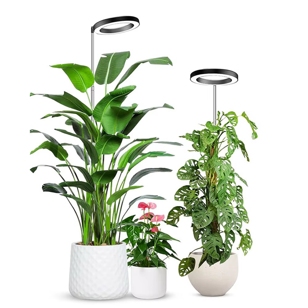 Lumière LED pour plantes à spectre complet de 6 pouces