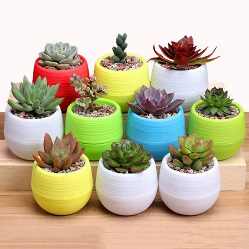 Ensemble de pots de fleurs en plastique